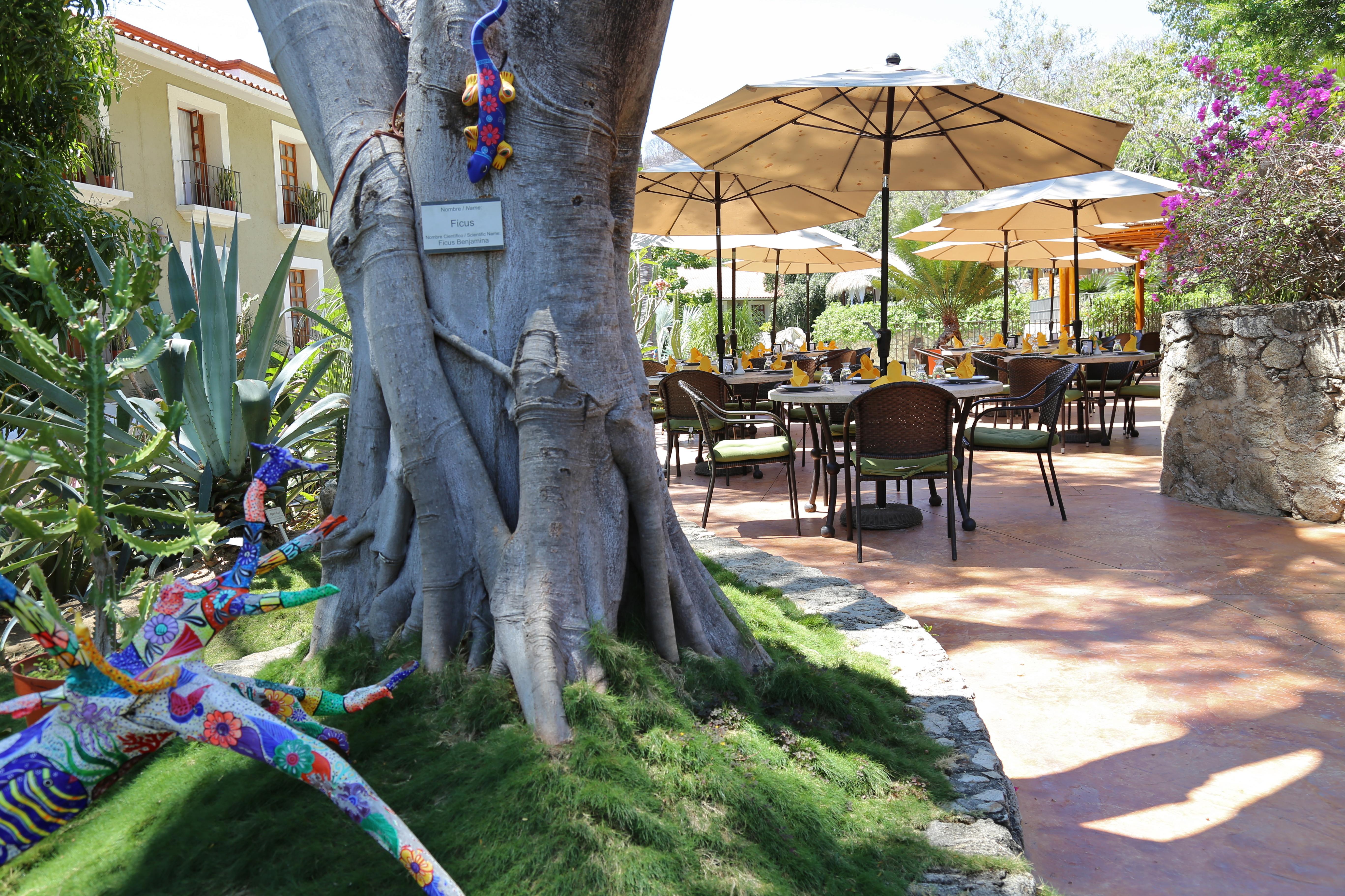 Binniguenda Huatulco & Beach Club מראה חיצוני תמונה